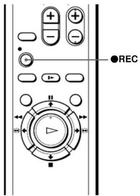 ●REC