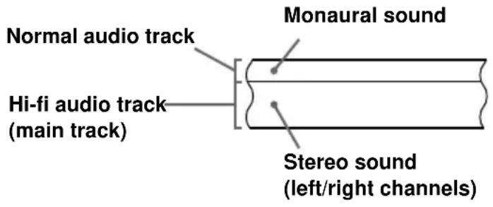 Normal audio track Hi-fi audio track (main track) Monaural sound Stereo sound (left/right channels)