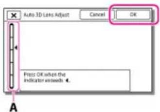 Auto 3D Lens Adjust Cancel OK Press OK when the Indicator rises 4. A