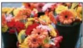 SONY Handycam HDR-TD30V - Tips on using [Auto 3D Lens Adjust] - 2