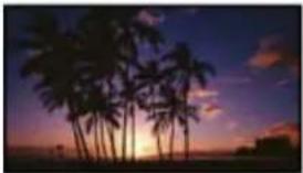 SONY Handycam HDR-TD30V - Scene Selection (2D only) - 4
