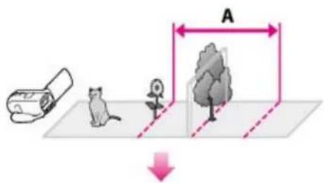 A ↓
