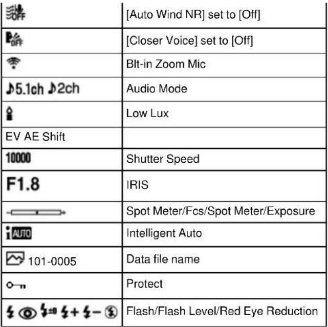 SONY Handycam HDR-TD30V - Bottom 4 - 1