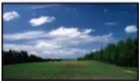 SONY Handycam HDR-TD30V - Scene Selection (2D only) - 6