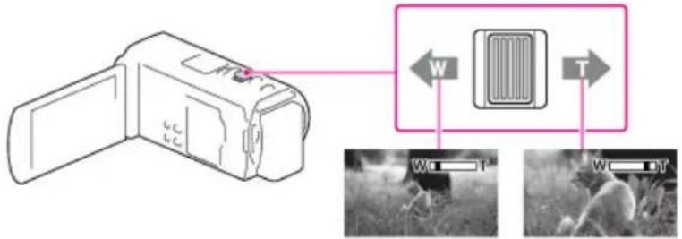 Diagram showing a digital camera with labeled directional arrows (W and T) pointing to a device component, alongside two close-up photos of a person in nature.