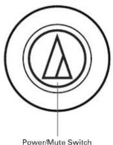 Power/Mute Switch