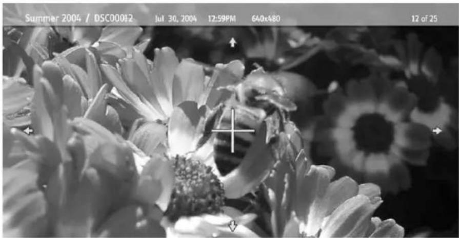 SONY KDF-55XS955 - To Zoom and Pan a photo - 1