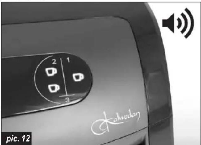 Profilo PKM6009 - Brewing coffee - 12