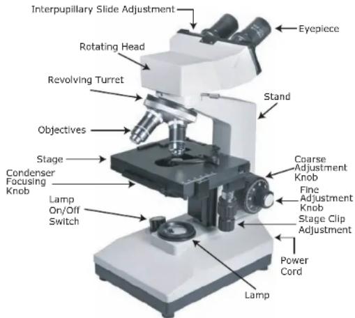 Interpupillary Slide Adjustment Rotating Head Revolving Turret Objectives Stage Condenser Focusing Knob Lamp On/Off Switch Eycpiece Stand Coarse Adjustment Knob Fine Adjustment Knob Stage Clip Adjustment Power Cord Lamp