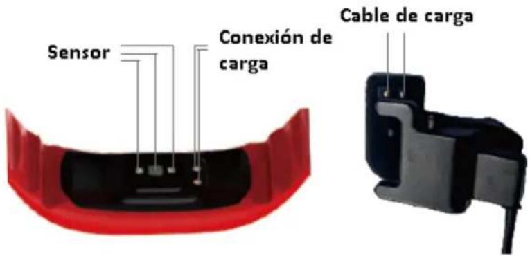 Sensor Conexión de carga Cable de carga