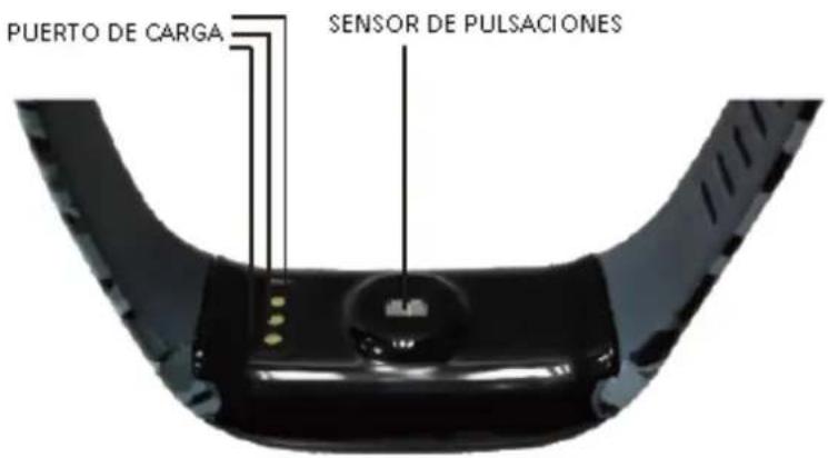 PUERTO DE CARGA SENSOR DE PULSACIONES