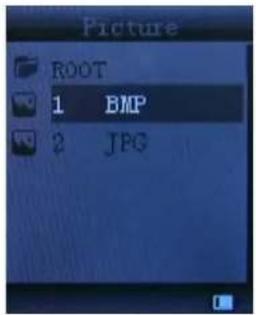 Picture ROOT 1 BMP 2 JPG