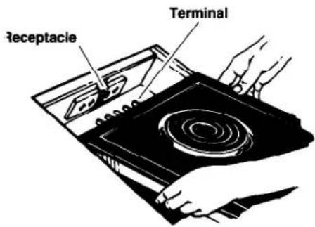 Receptacle Terminal