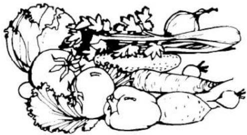 WHIRLPOOL ET16JKYSW00 - Food storage guide STORING FRESH FOOD - 1