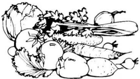 WHIRLPOOL ET16JKYSM02 - STORING FRESH FOOD - 1