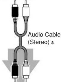 SANYO PLC-SU32 - Cables used for connection (\* = Cable is not supplied with this projector.) - 10
