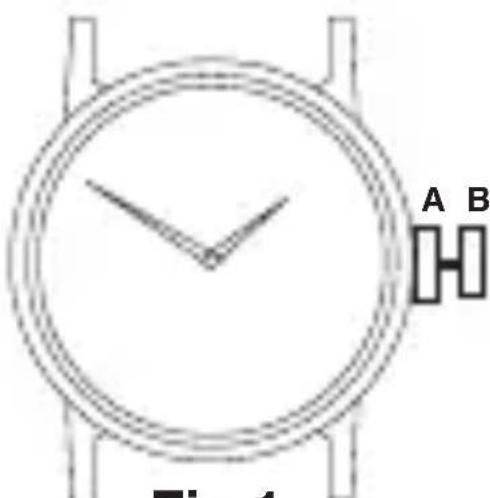 A B Fig 1