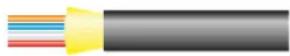 Neutrik FOCD-CF - opticalCON POWER-SPLIT - 2