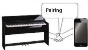 Pairing