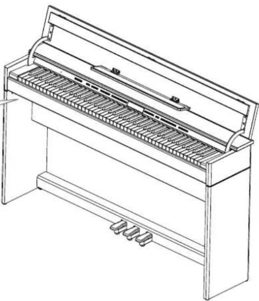 ROLAND DP603-PEC D - USB Computer Port - 2
