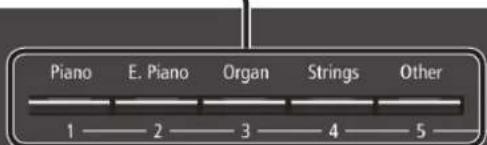 Piano E. Piano Organ Strings Other 1 2 3 4 5
