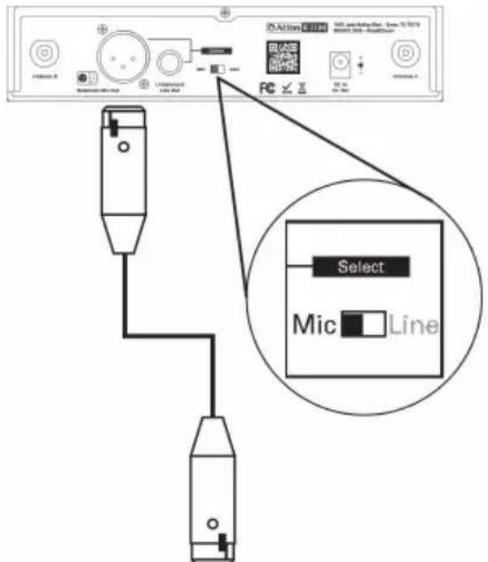 Atlas Sound MWRCVR - Audio Output Connection - 2