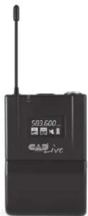 CAD Audio RX3000 - WX3000 - 2