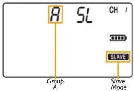 Vello FreeWave Aviator - SETTING FLASH GROUPS - 1