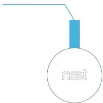 nest