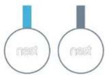 NEST Detect - In the box. - 2
