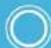 NEST Detect - What it means What you see - 5