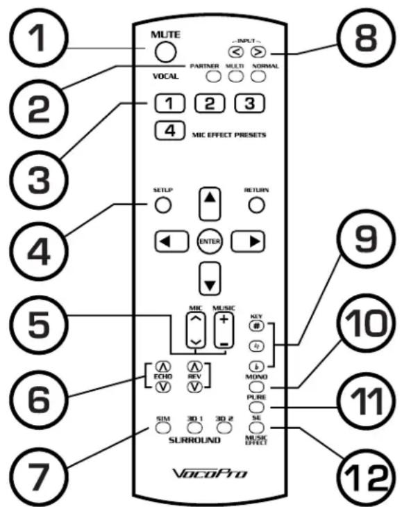 Vocopro DAX-9900RV - Descriptions - 1