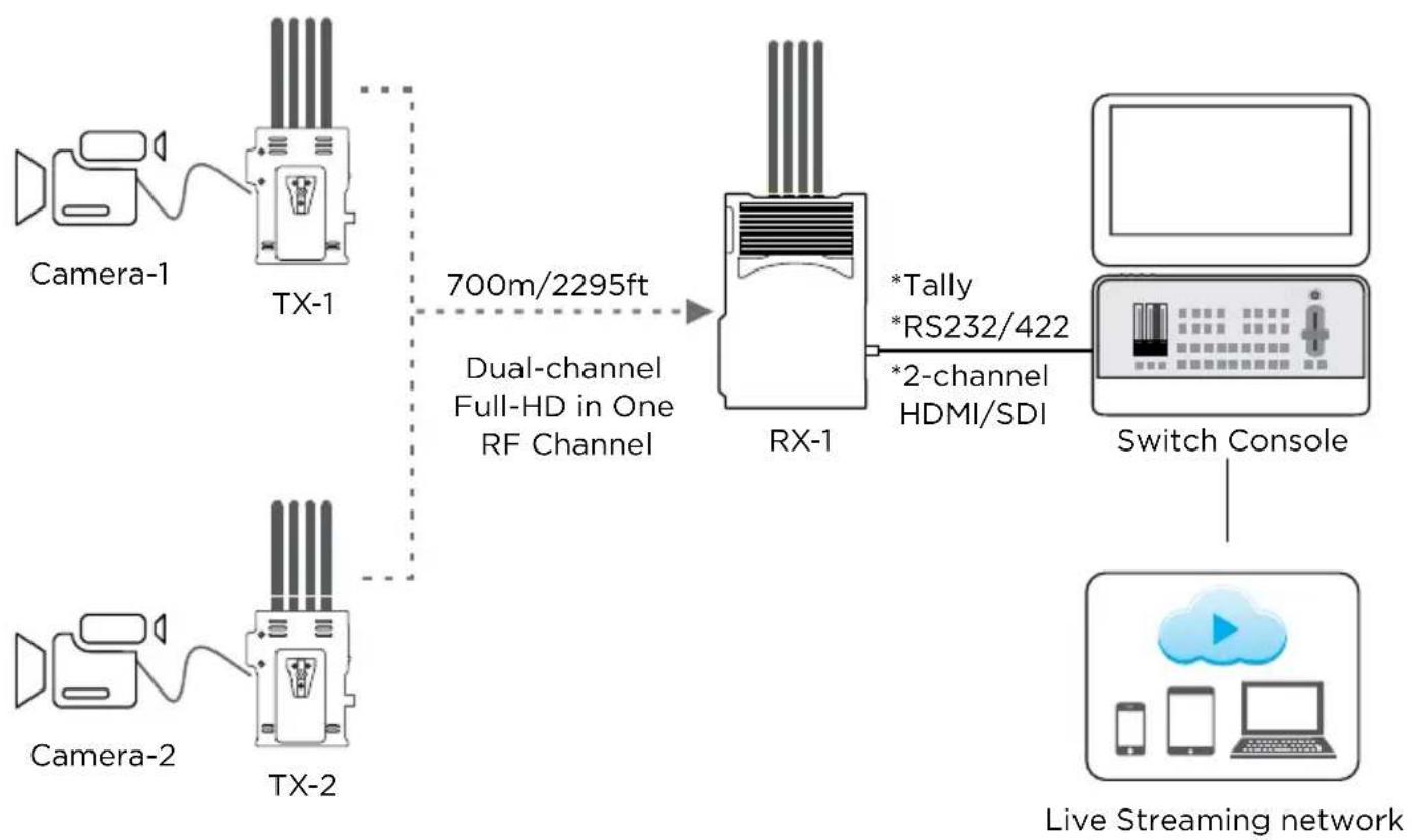 Cinegears TWO IN ONE 2000M-H FULL-HD - Point-to-Point mode - 1