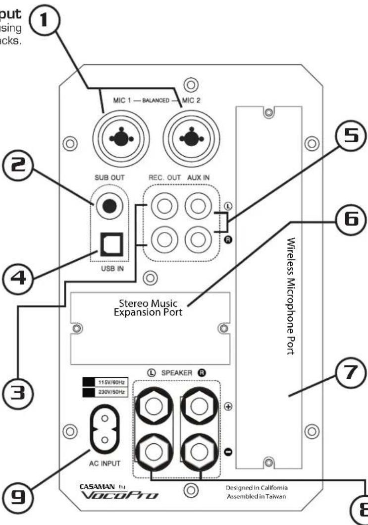 Vocopro Casaman-Voice - AC Input - 1