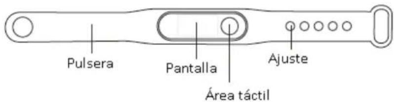 Pulsera Pantalla Área táctil Ajuste