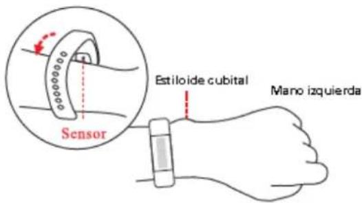 Sensor Estiloide cubital Mano izquierda