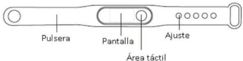 Pulsera Pantalla Área táctil Ajuste