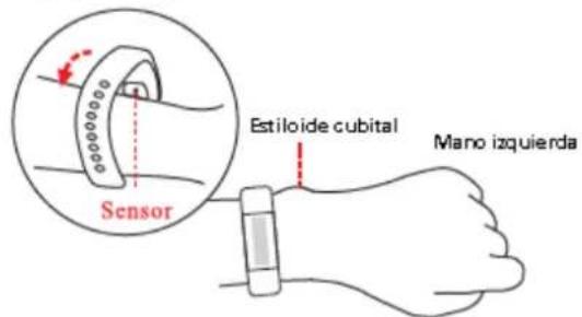 Sensor Estiloide cubital Mano izquierda