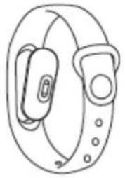 BRIGMTON BSPORT-B2-N-A-R - INTRODUCCIÓN - 2