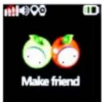 Make friend