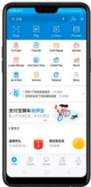 OPPO N1 Mini - Payment protection - 1