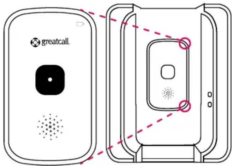 greatcall