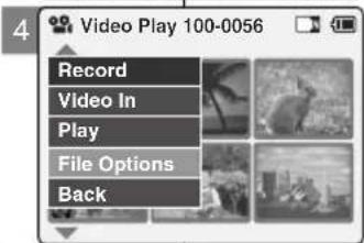 4 Video Play 100-0056 Record Video In Play File Options Back