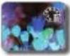 SAMSUNG HMX-QF33 - Digital Effect - 6