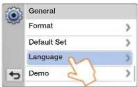 General Format > Default Set > Language > Demo >