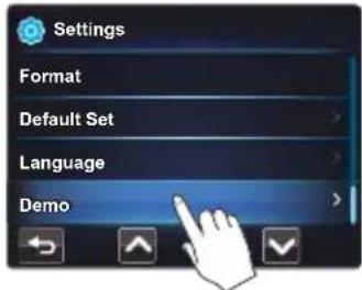 Settings Format Default Set Language Demo