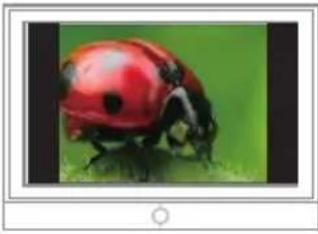 SAMSUNG HMX-E10ON - TV IMAGE DISPLAYS - 3