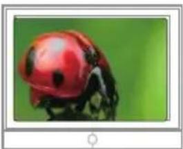 SAMSUNG HMX-E10ON - TV IMAGE DISPLAYS - 2