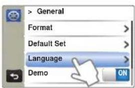 > General Format Default Set Language Demo