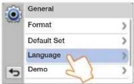 General Format Default Set Language Demo